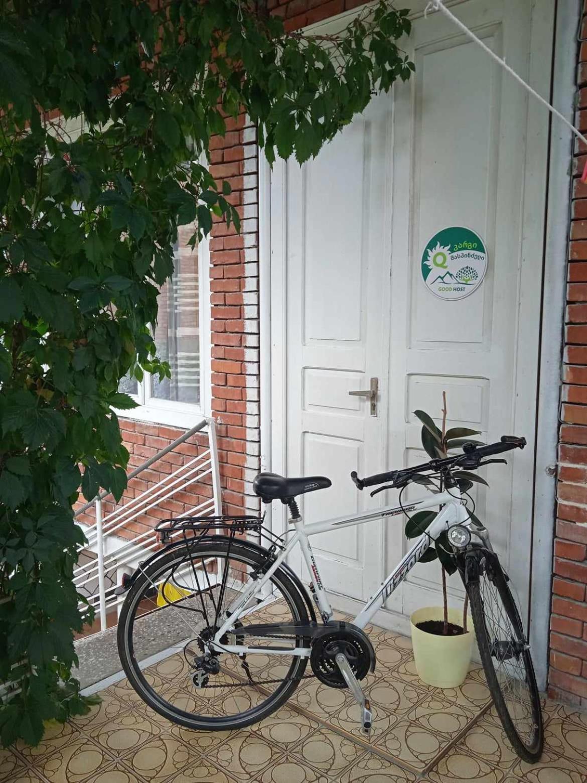 Guest House Meri Poppins Dedoplis Tskaro Bagian luar foto