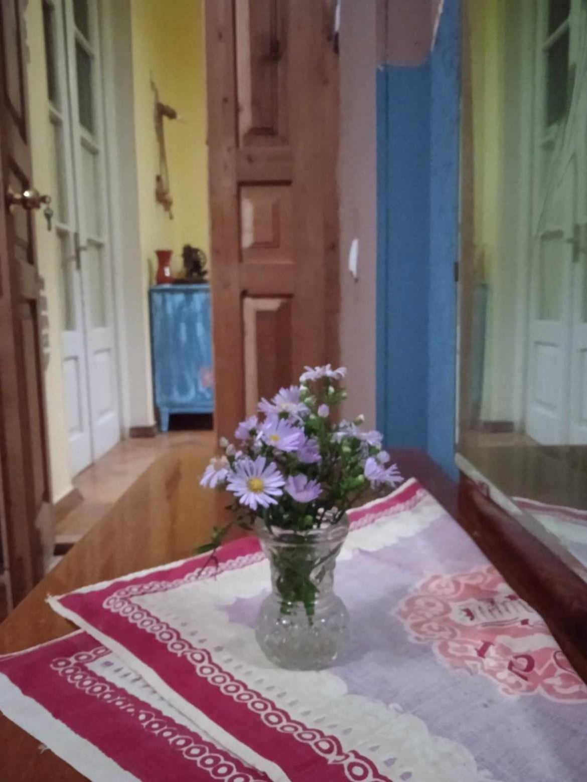 Guest House Meri Poppins Dedoplis Tskaro Bagian luar foto